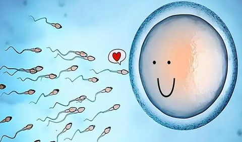 供卵代怀生男宝代生包成功